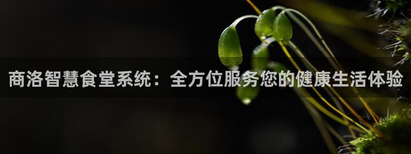 尊龙凯时是大平台吗