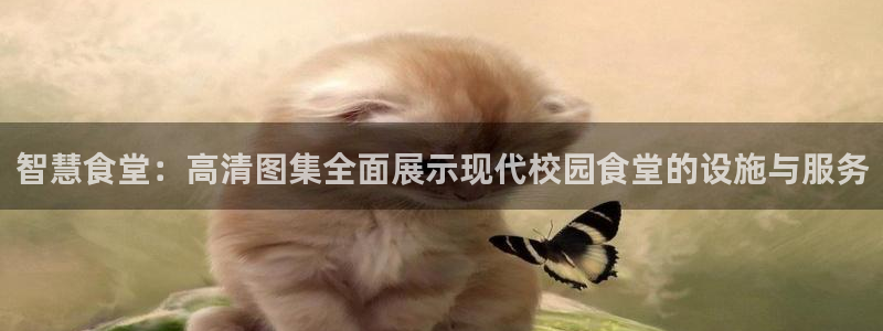 尊龙目前情况