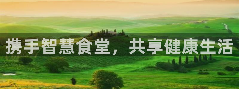 尊龙t400和尊龙t300区别