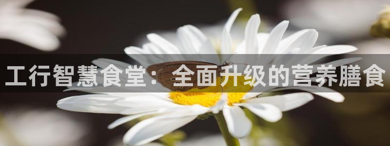 凯时首页登录