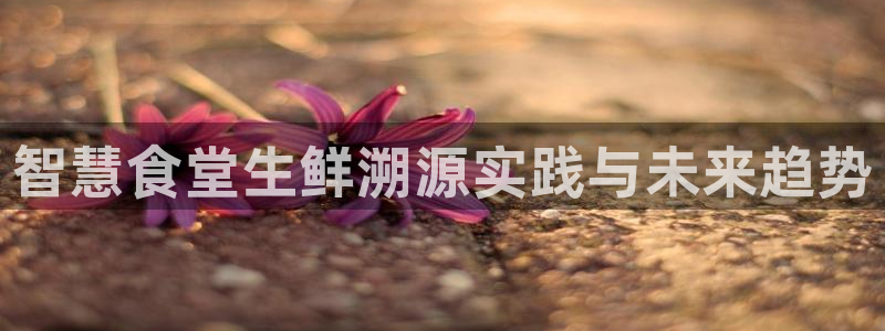 尊龙长相评价
