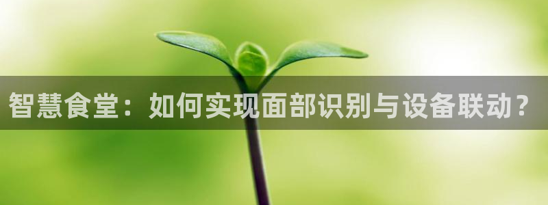 凯时首页地址