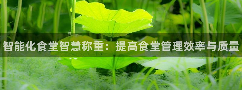 z6尊龙凯时集团