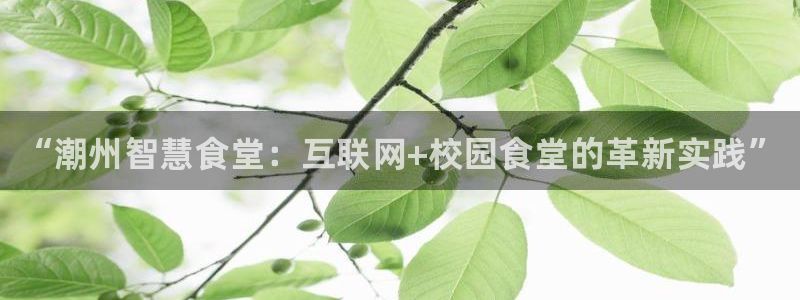 尊龙凯时国际