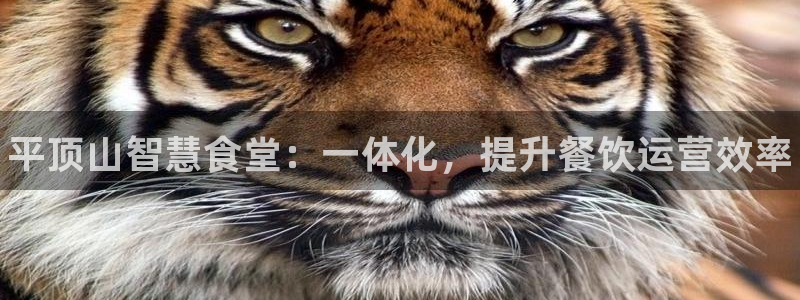 尊龙凯时z6官网：平顶山智慧食堂：一体化，提升餐饮运营效率