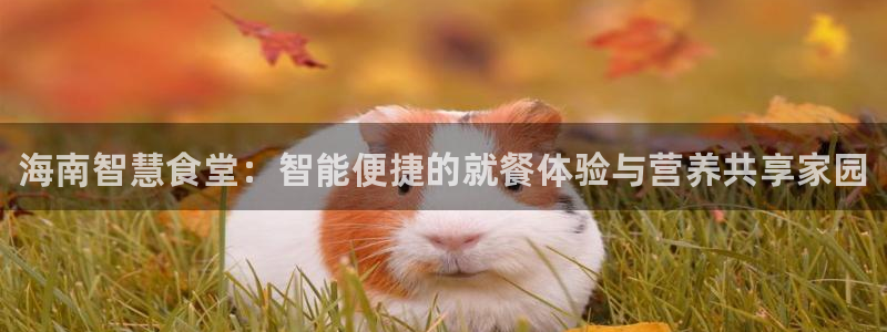 尊龙凯时的最新消息