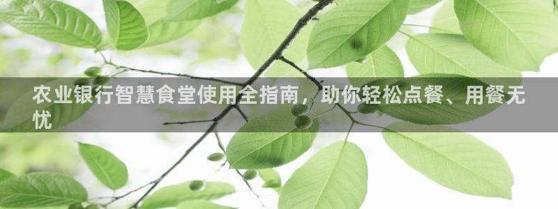 尊龙凯时人生就是搏包装优势：农业银行智慧食堂使用全指南，助你