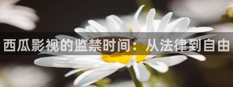 夏日天空的骤雨免费漫画下拉式
