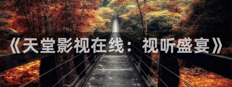 天空之上三公尺电影免费观看