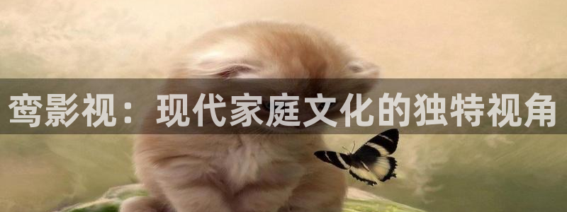 缘分的天空动漫免费播放
