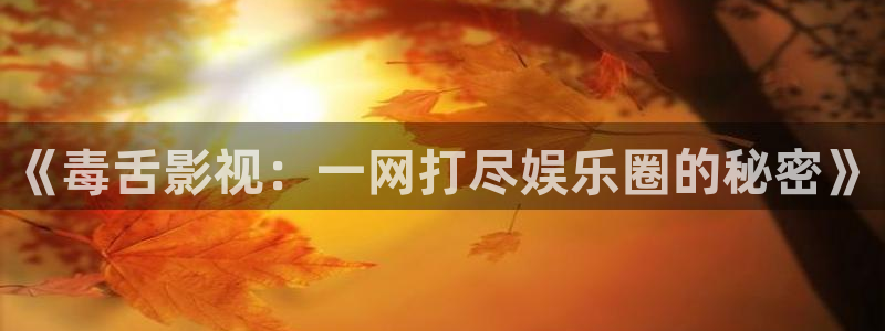 天空视频下载官方