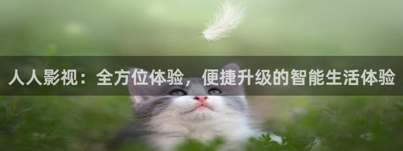 天空影视免费观看电视剧剧情