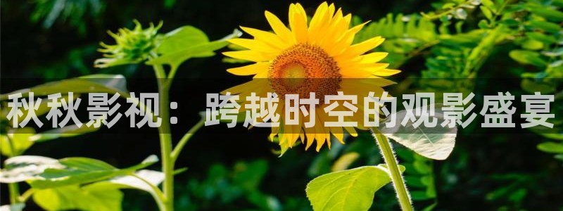 天空远古影院：秋秋影视：跨越时空的观影盛宴
