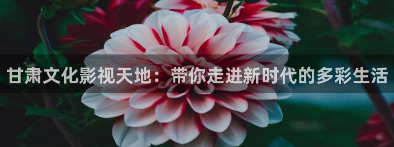 天空视频苹果版：甘肃文化影视天地：带你走进新时代的多彩生活